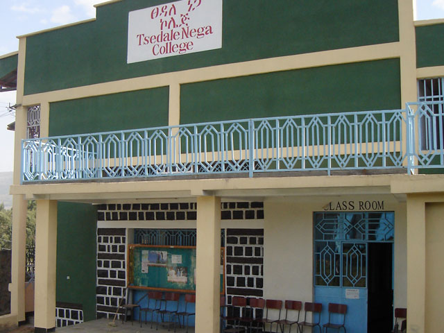 trackrecord-tsedale-nega-college